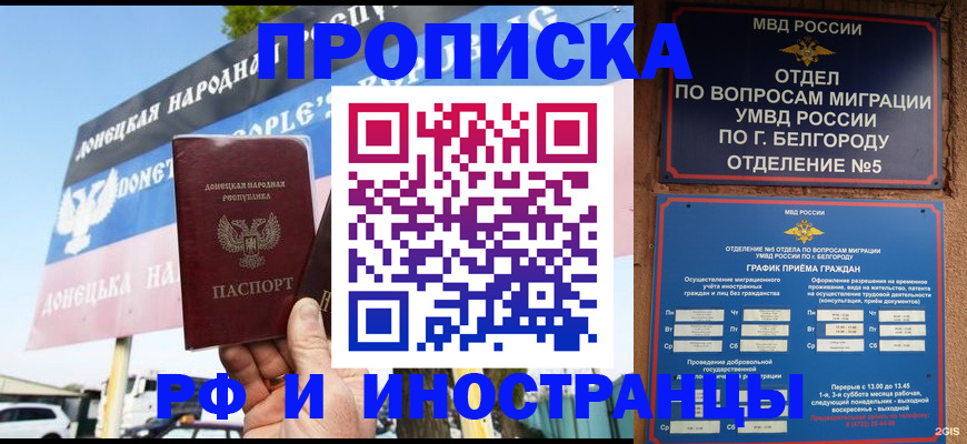 временная регистрация 2025 в Мончегорске